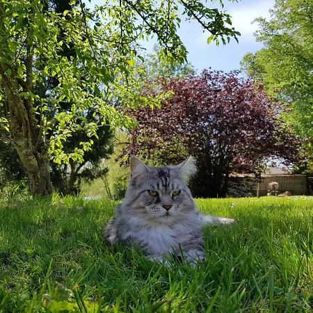 Gutshof Kaemmerich - 