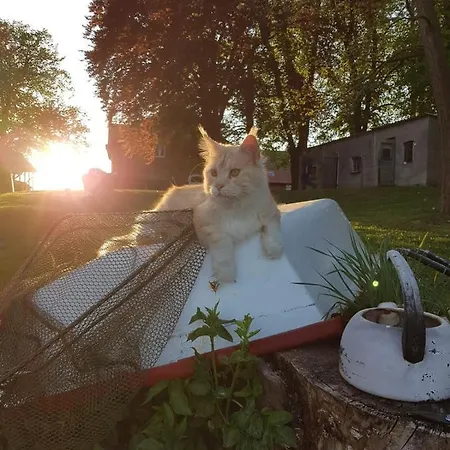 Gutshof Kaemmerich - 