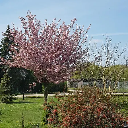 Gutshof Kaemmerich - 