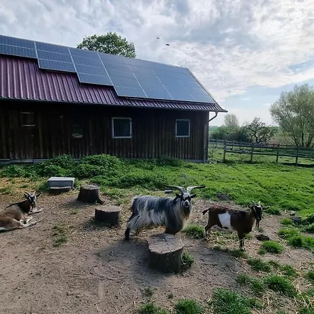 Gutshof Kaemmerich - 