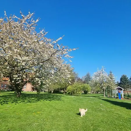 Gutshof Kaemmerich - 