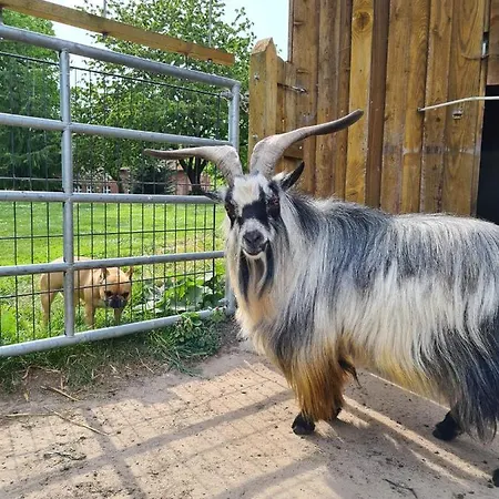 Affittacamere Gutshof Kaemmerich - 