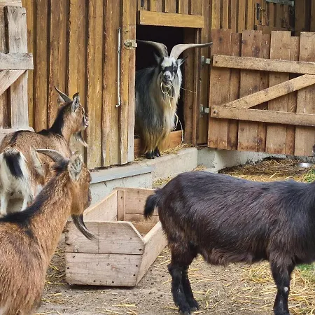 Affittacamere Gutshof Kaemmerich - 