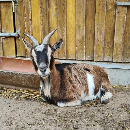 Gutshof Kaemmerich - 