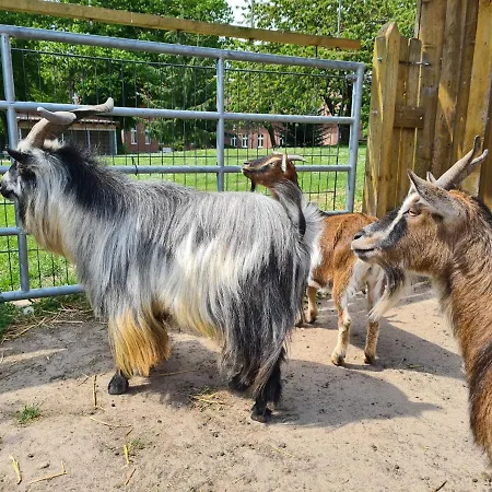 Affittacamere Gutshof Kaemmerich - 