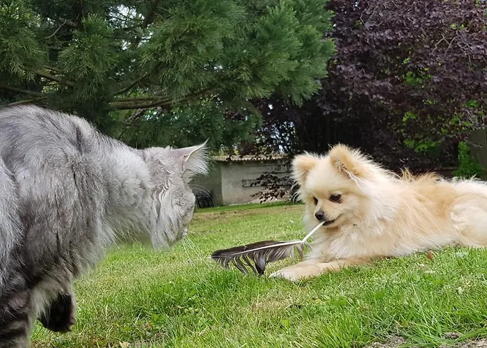 Gasthof Gutshof Kämmerich