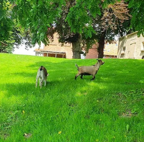 Gutshof Kämmerich Gasthof Altkalen