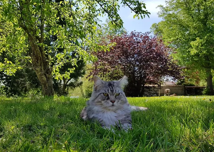 Gutshof Kämmerich Gasthof