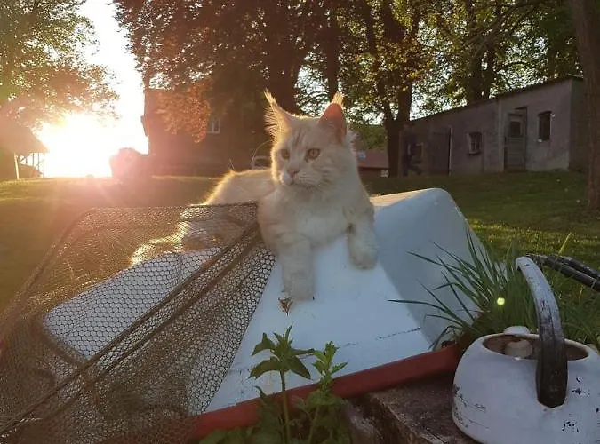 Gutshof Kämmerich 4*