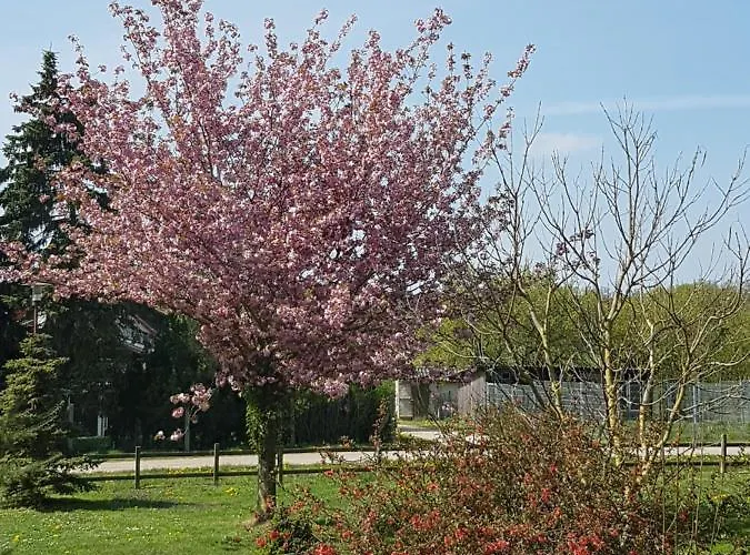 Gutshof Kämmerich 4* Altkalen