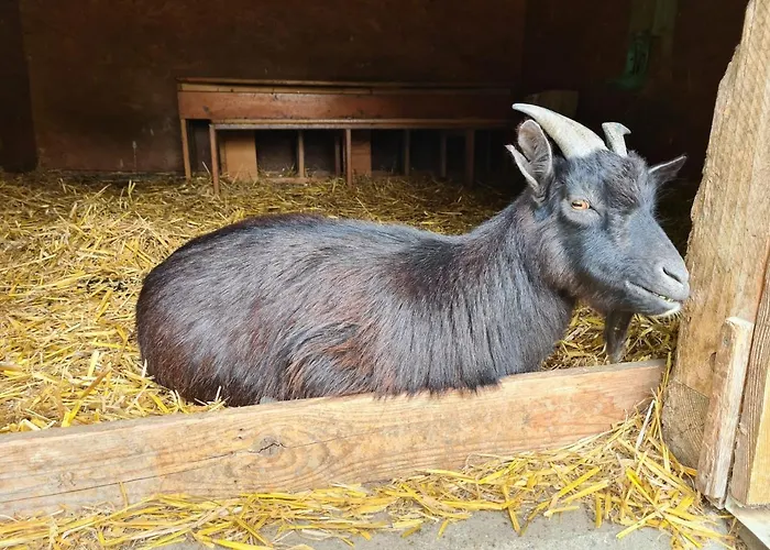 Gutshof Kämmerich 4*