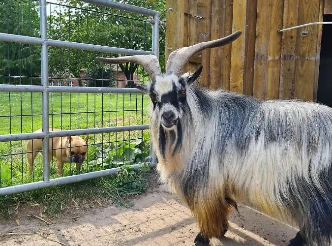 Gasthof Gutshof Kämmerich