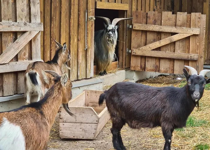 Gasthof Gutshof Kämmerich Altkalen