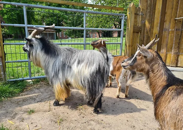 Gasthof Gutshof Kämmerich Altkalen